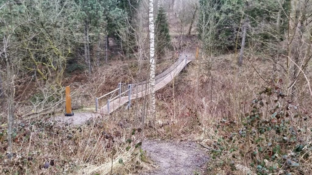 Hängebrücke im Weltwald Bad Grund