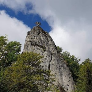 Hübichenstein Bad Grund
Adler in der Sommersonne