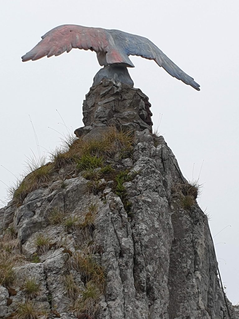 Adler auf dem Hübichenstein Bad Grund
Nahaufnahme