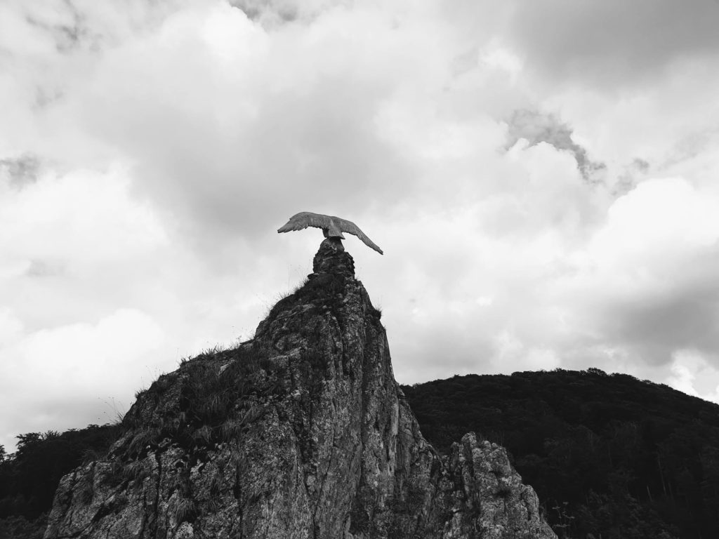 Hübichenstein Bad Grund
Adler von nah