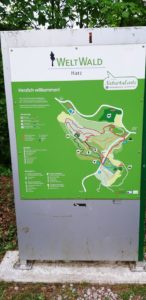 Infotafel und
Übersichtskarte
des Weltwald Arboretums