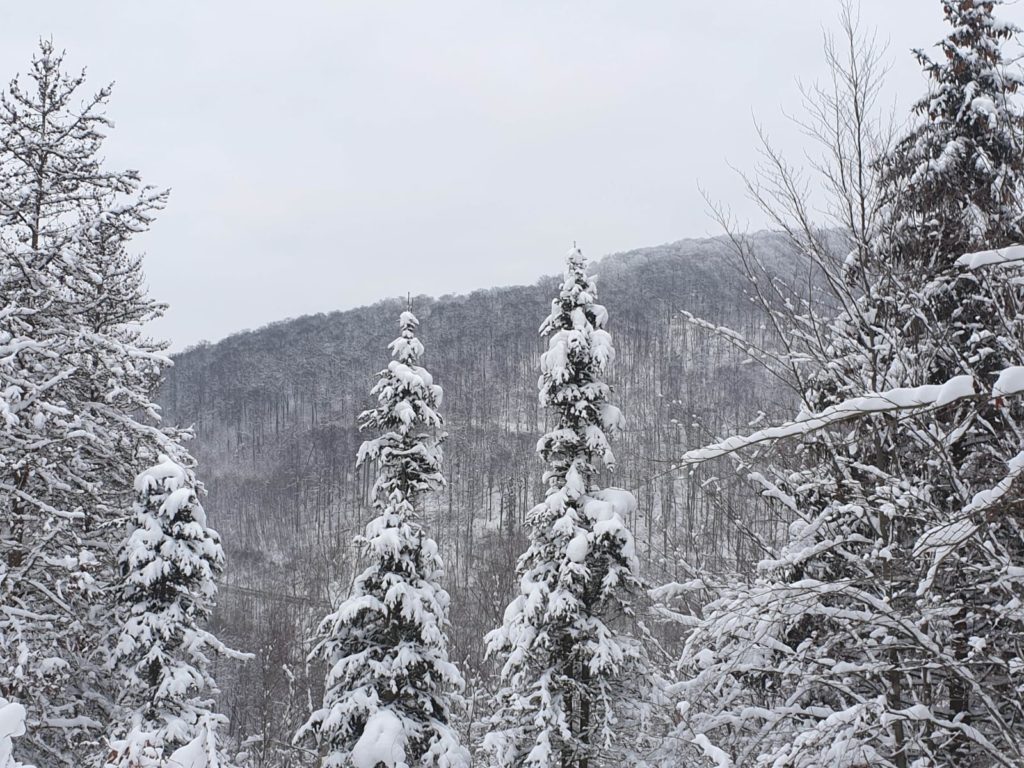 Schnee in Bad Grund im Harz